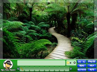 Игра Mystic Rainforest фото
